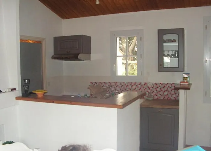 Tatil Evi Maison De Avec Jardin, 4 Pieces, 6 Couchages, Proche Et Centre-ville, - Fr-1-224b-201 *